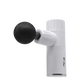 Power Massager